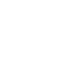 256x256 White Biohazard Icon