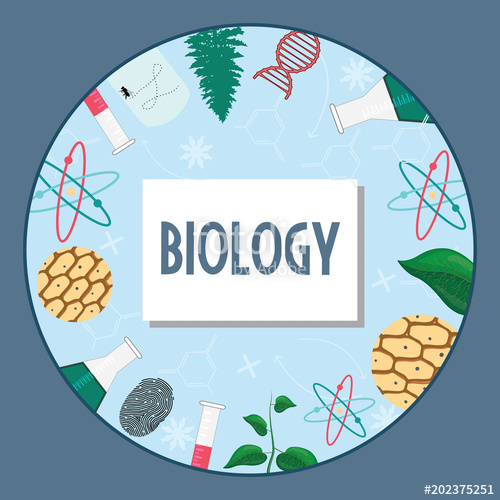 500x500 Colorful Biology Icon Vector Illustration Stock Image