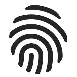 256x256 Fingerprint Icon Iconexperience