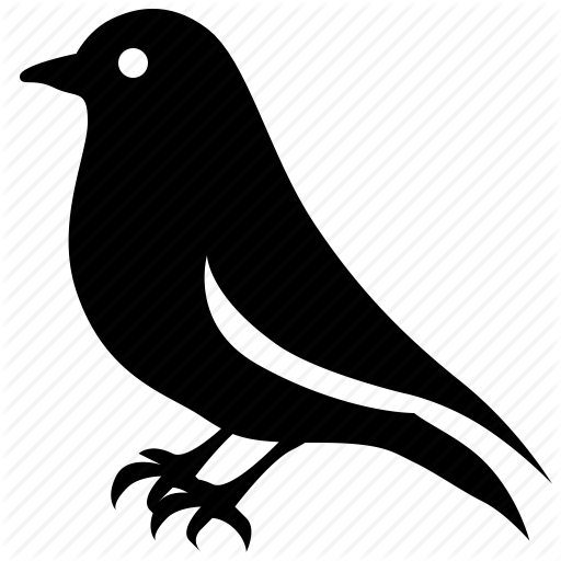 512x512 Bird Icon