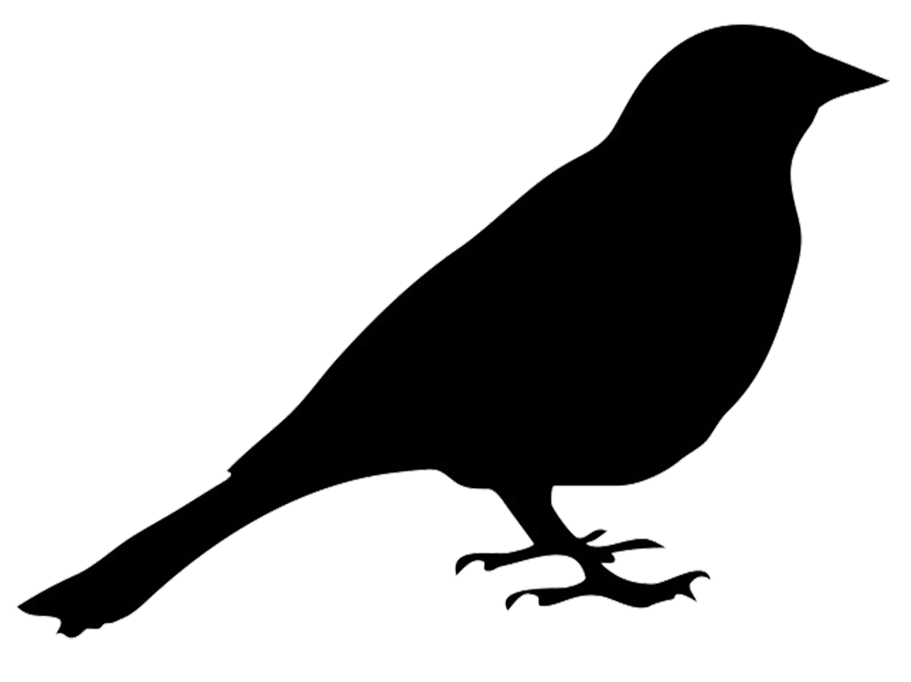 1325x992 Bird Silhouette Sitting Bird Png
