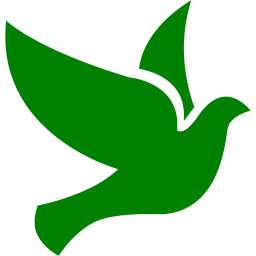 256x256 Green Bird Icon