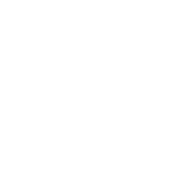 256x256 White Bird Icon