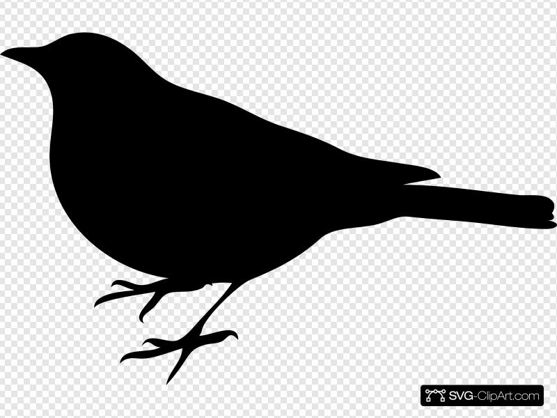 800x600 Black Bird Silhouette Clip Art, Icon