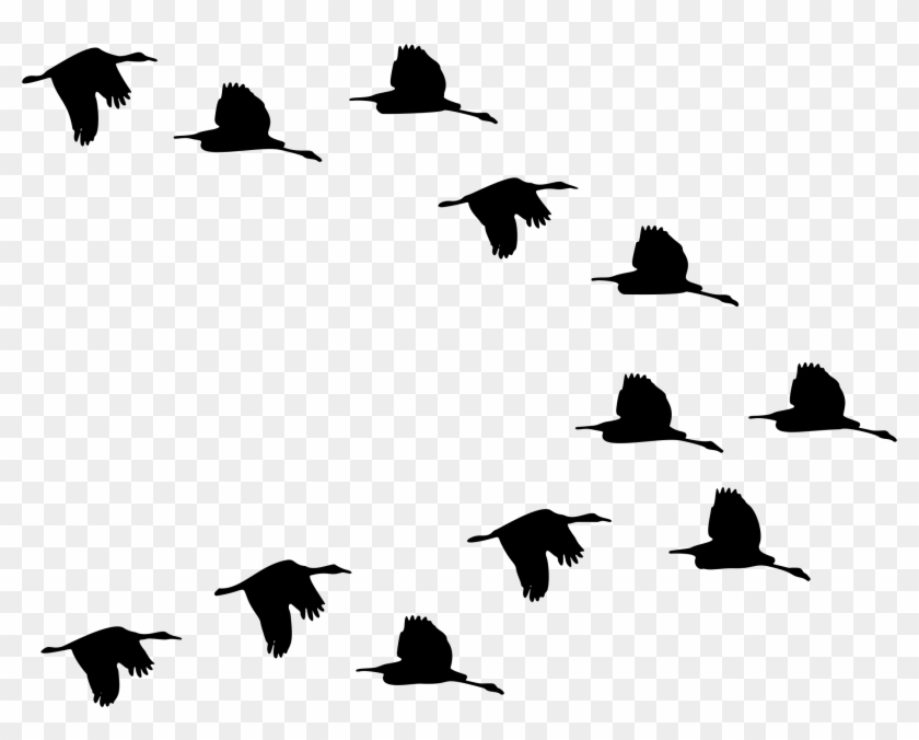 840x676 Flock Of Ducks Flying Silhouette Icons Png
