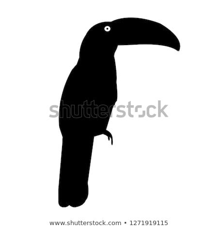 450x470 Parrot Bird Silhouette Vector Icon Animal Silhouette Outline