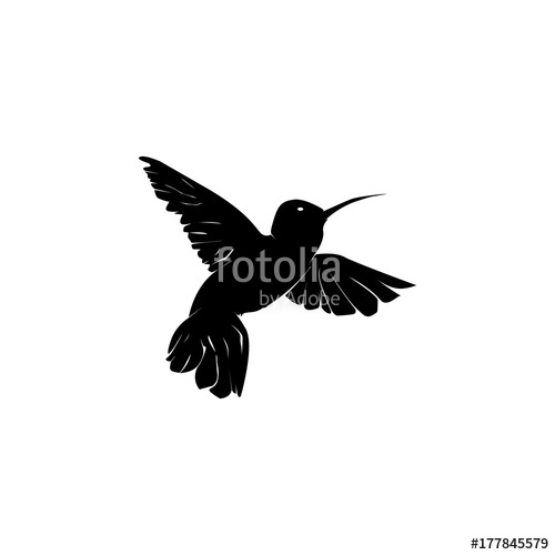 500x500 Humming Bird Silhouette Icon Stock Image And Royalty Free Vector