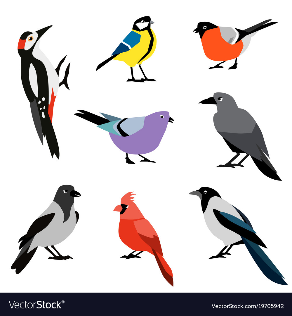 1000x1080 Bird Icon Vector