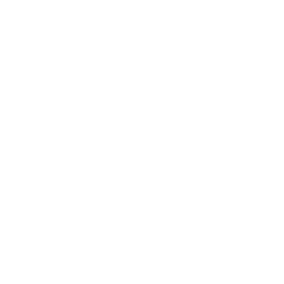 256x256 Free White Birthday Cake Icon