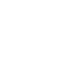 256x256 White Bishop Icon