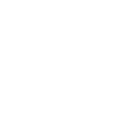256x256 White Desktop Icon