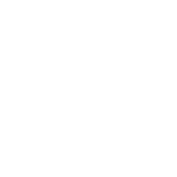 256x256 White Globe Icon