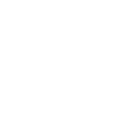 256x256 Phone Icon Life Slovenija