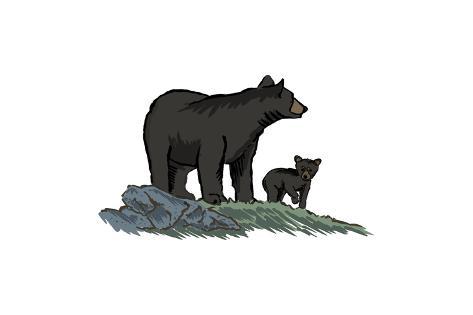 473x315 Black Bear And Cub