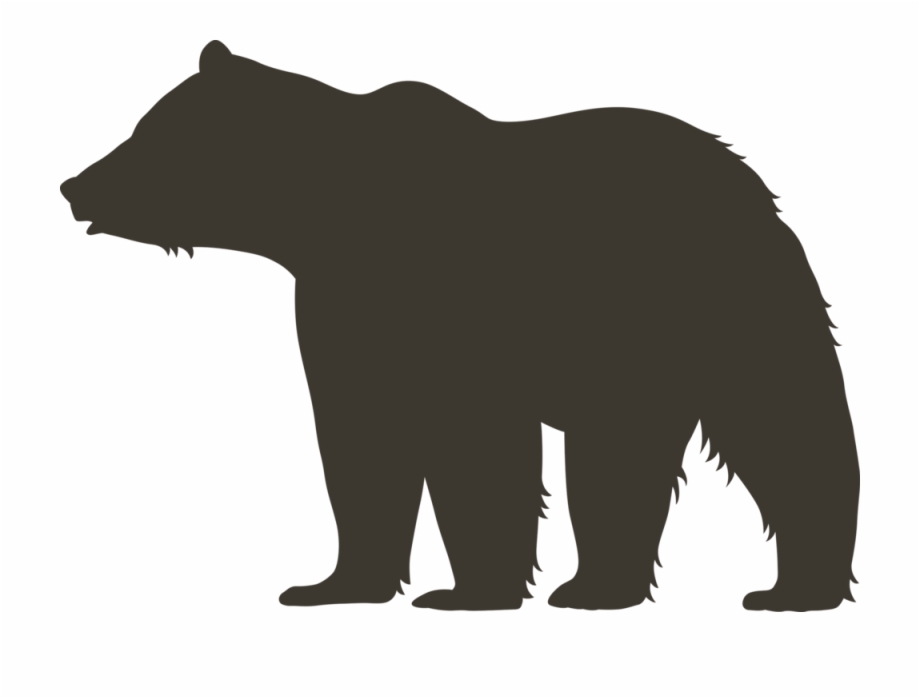 920x698 Grizzly Bear