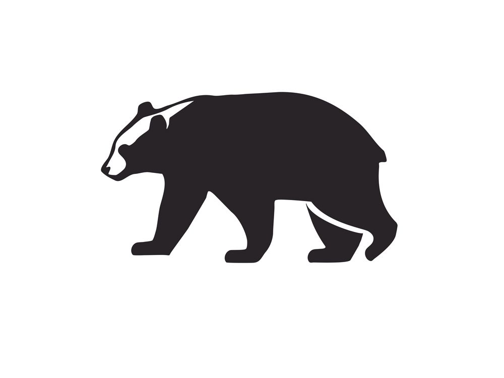 1000x750 Icon Bear