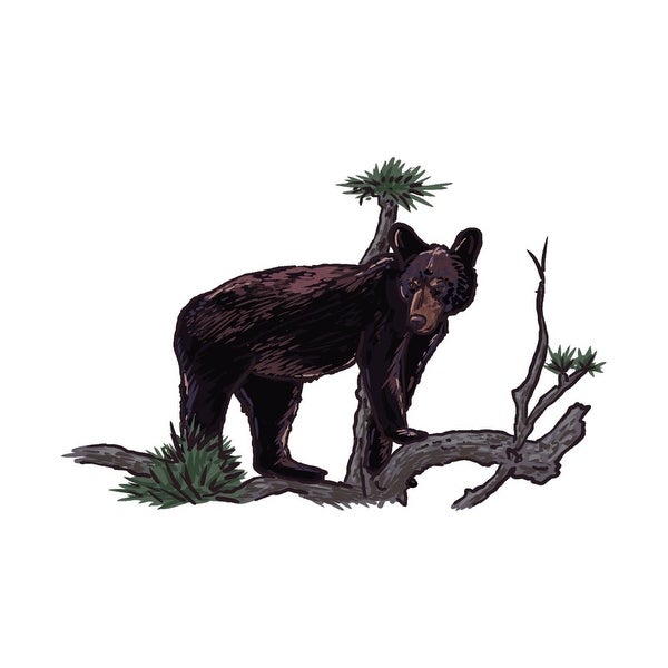 600x600 Shop Florida Black Bear