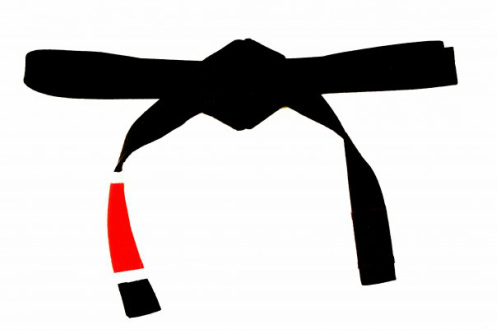 497x331 Leicester Bjj Black Belt Seminar April Leicester