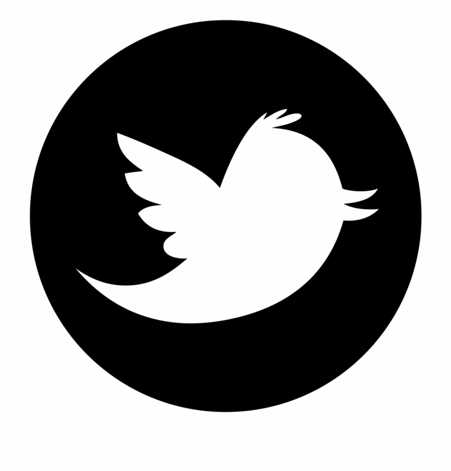 920x960 Logo Twitter Png Rond