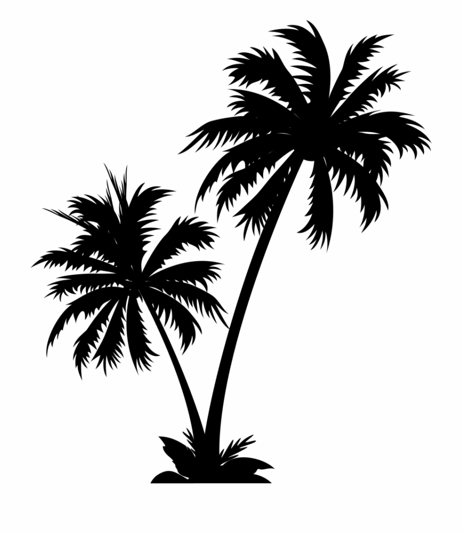 920x1061 Coconut Tree Png Icon Free Download