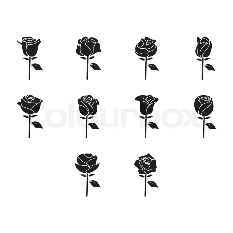 800x800 Collection Of Rose Icon Vector Stock Vector Colourbox