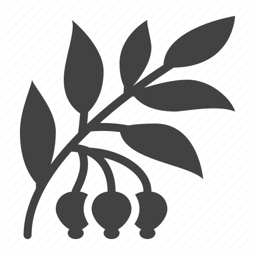 512x512 Dog, Herb, Medicinal, Plant, Rose Icon