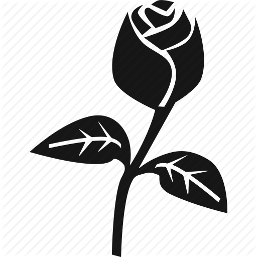 512x512 Flower, Nature, Plant, Romance, Rose Icon