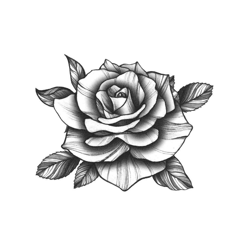 1024x1024 Black Rose Tattoo Icon