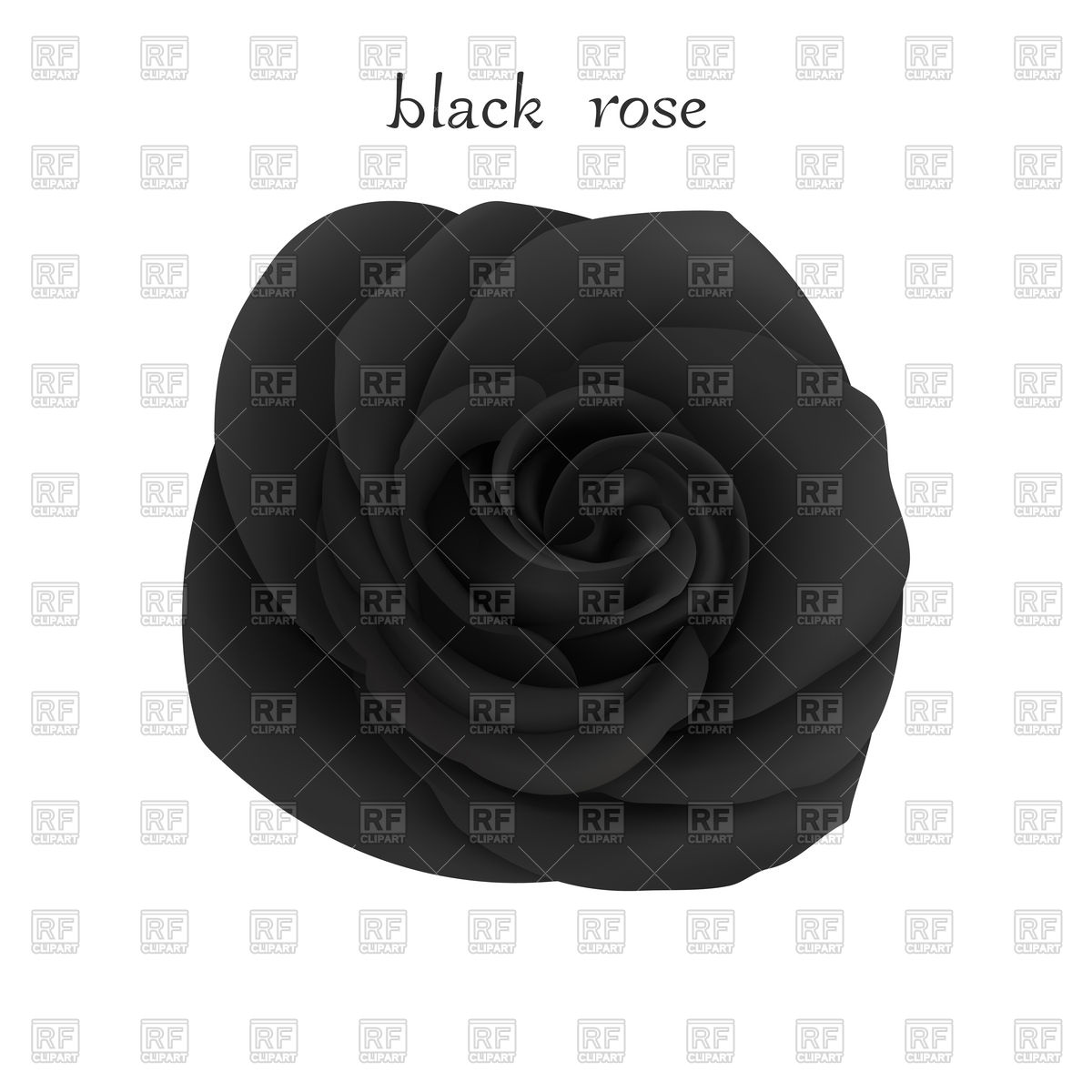 Black Rose Icon at Vectorified.com | Collection of Black Rose Icon free ...