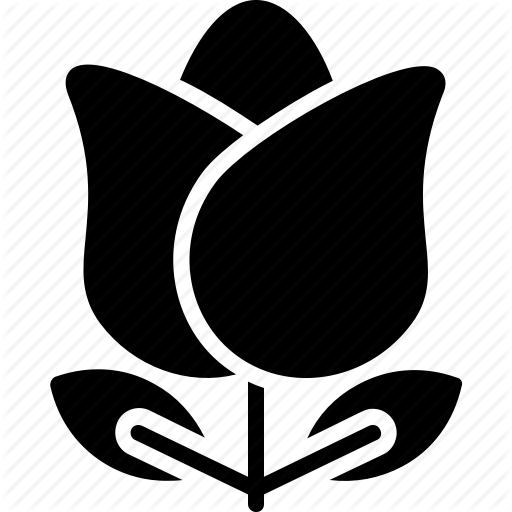 512x512 Blossom, Flower, Gardening, Red Rose, Rose Icon