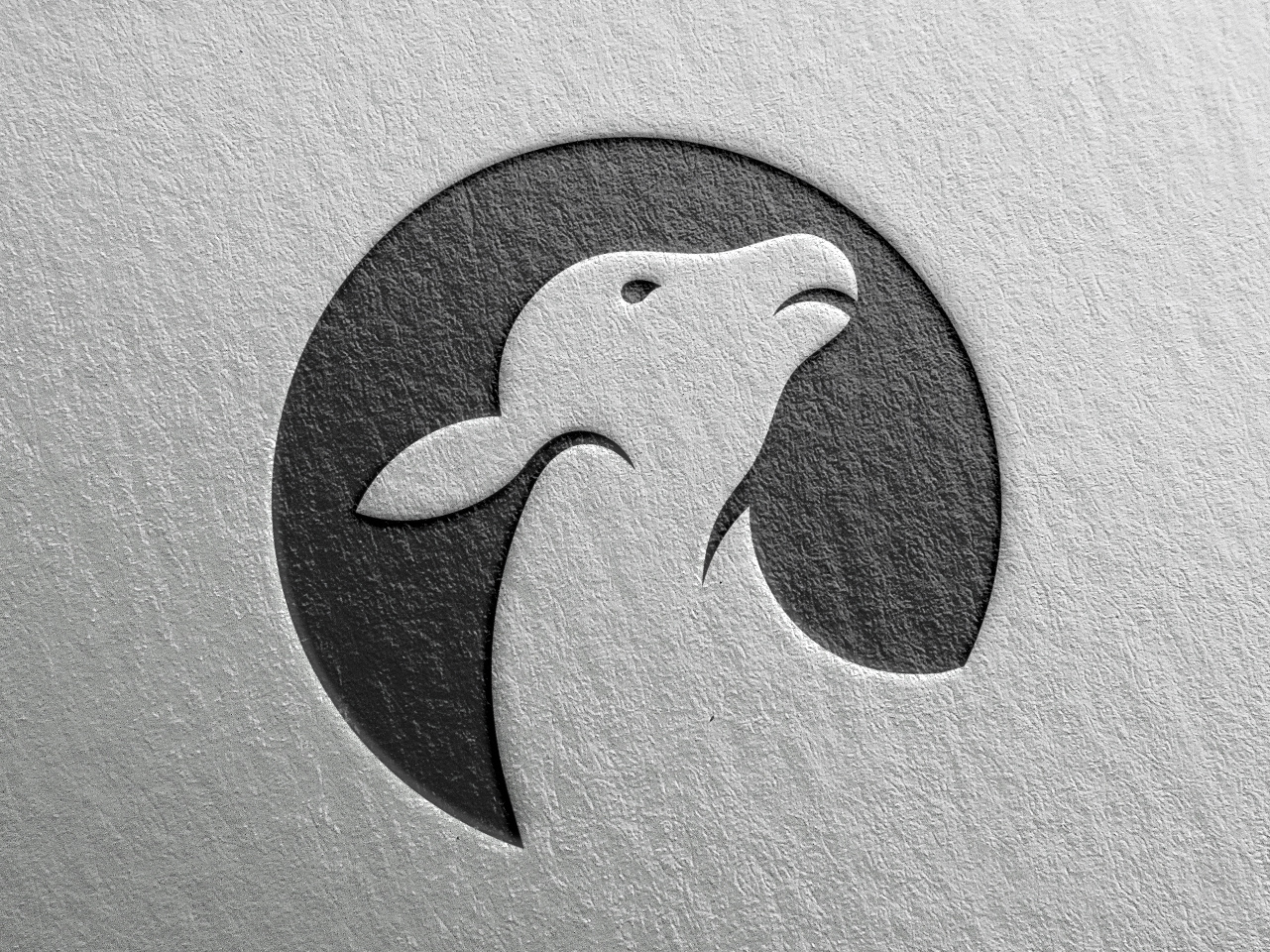 1281x960 Black Sheep Logo