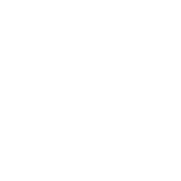 256x256 White Triangle Icon