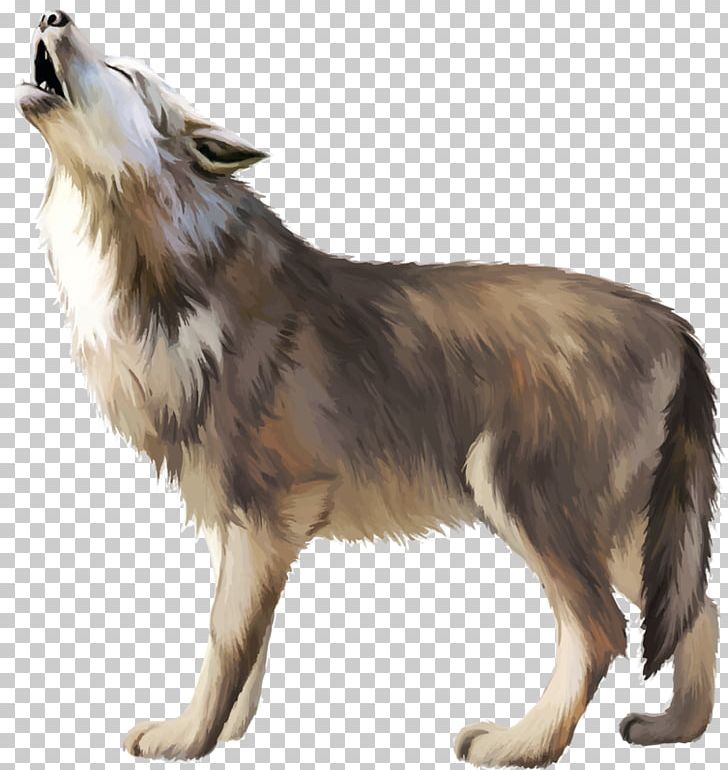 728x770 Gray Wolf Icon Png, Clipart, Animals, Black Wolf, Carnivoran