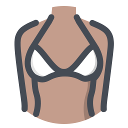 256x256 Bra Icons