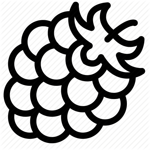 512x512 Berry, Blackberry, Eat, Food, Fruit, Nature Icon