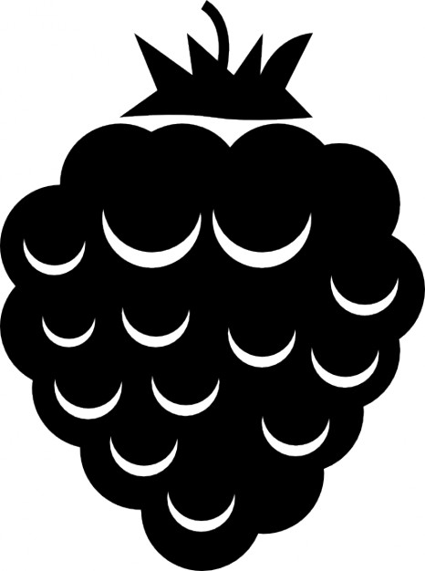 466x626 Blackberry Fruit Icons Free Download