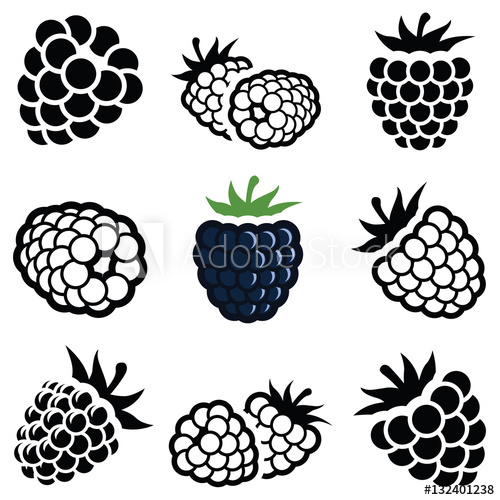 500x500 Blackberry Icon Collection