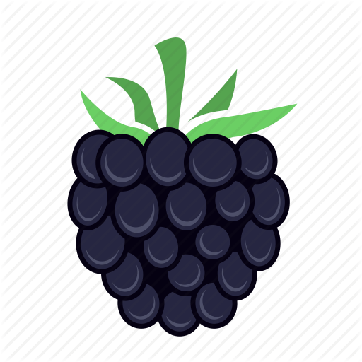 512x512 Berry, Blackberry, Food, Fruit Icon