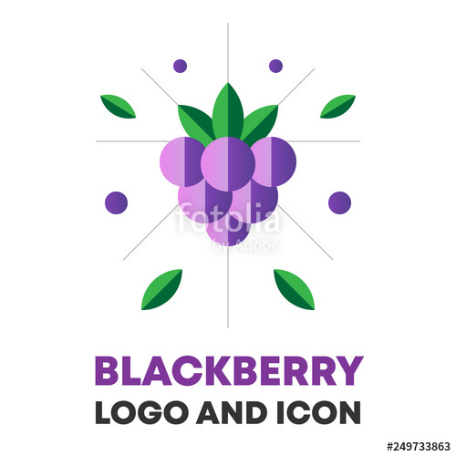 500x500 Blackberry, Berry Vector Blackberry, Berry Icon, Logo Design