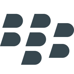 256x256 Blackberry Logo Icon Of Flat Style