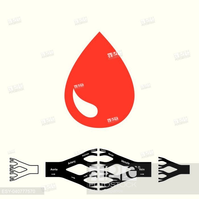 701x700 Blood Drop Icon And Circulatory System Vector Illustration, Stock