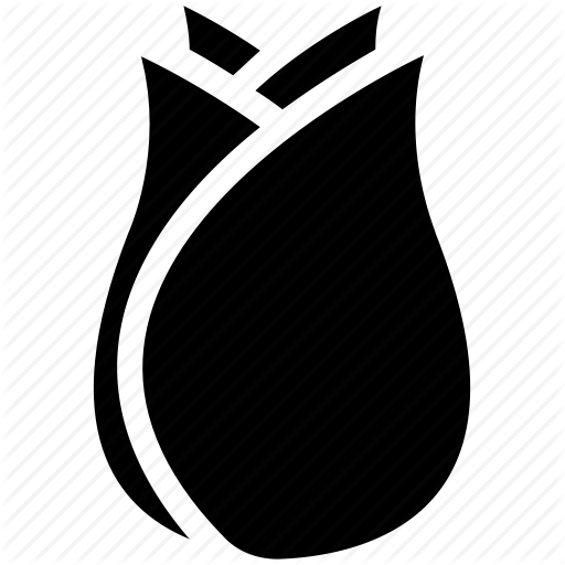 512x512 Bloom, Blooming Flower, Flower, Rose, Rose Bloom, Rose Blooming Icon