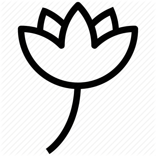 512x512 Bloom, Blooming Flower, Flower, Rose, Rose Bloom Icon