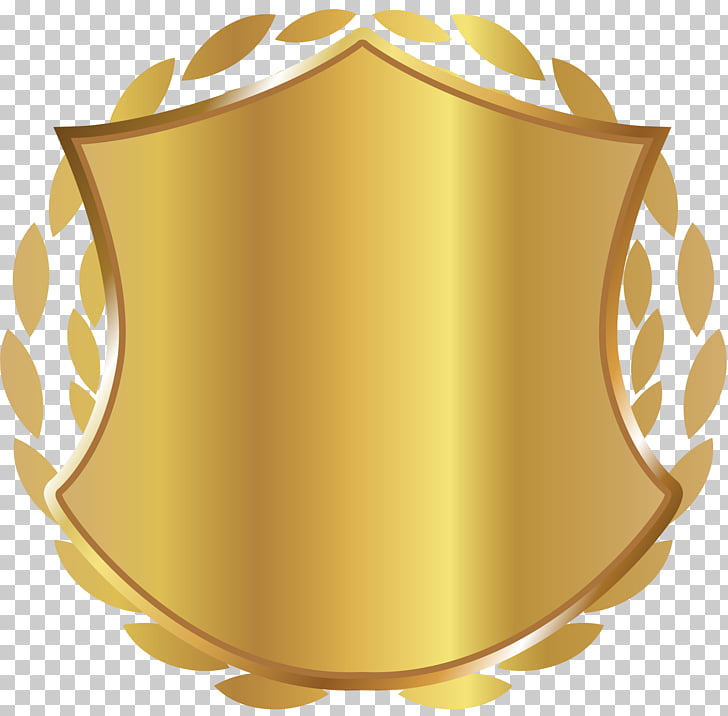 Blue And Gold Shield On Icon