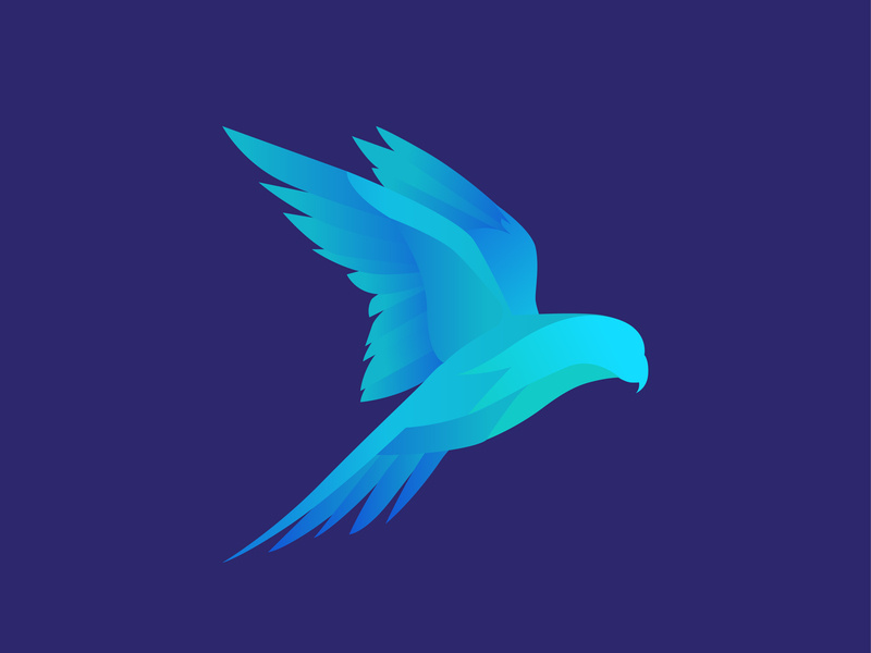 800x600 Blue Bird Illustration