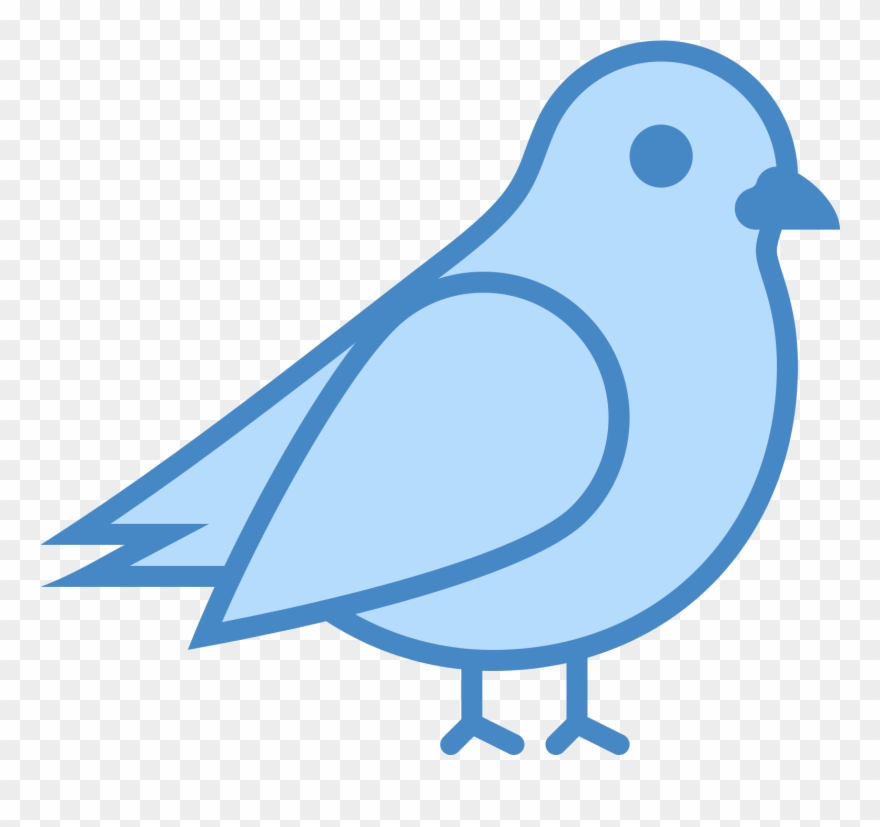 880x827 Image Result For Bluebird Icon