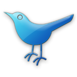256x256 Twitter Bird Icon