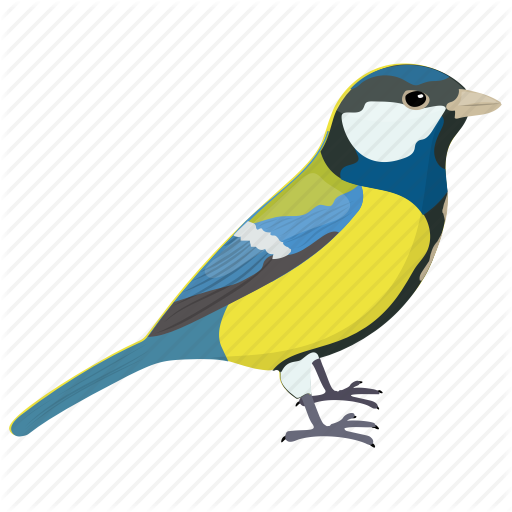 512x512 Bird, Blue Tit, Cyanistes Caeruleus, European Bird, Passerine Bird