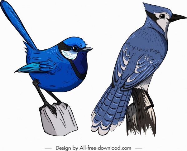 600x484 Bird Creature Icons Blue Sparrow Red Whiskered Sketch Free Vector