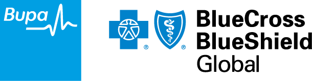 Self Service Portal For Current Members Bcbs Global 610x159 Self Service Portal For Current Members Bcbs Global